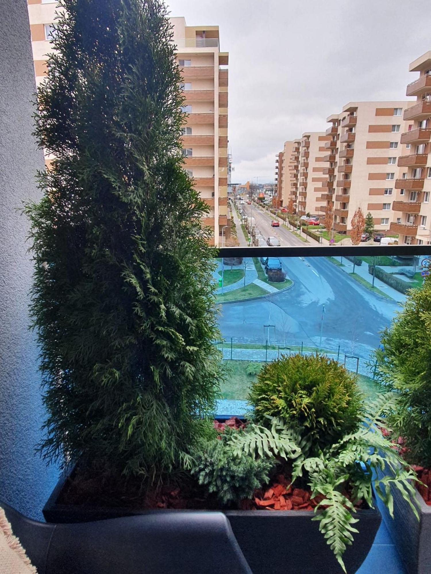 Tzuba Luxury Coresi Mall Braşov